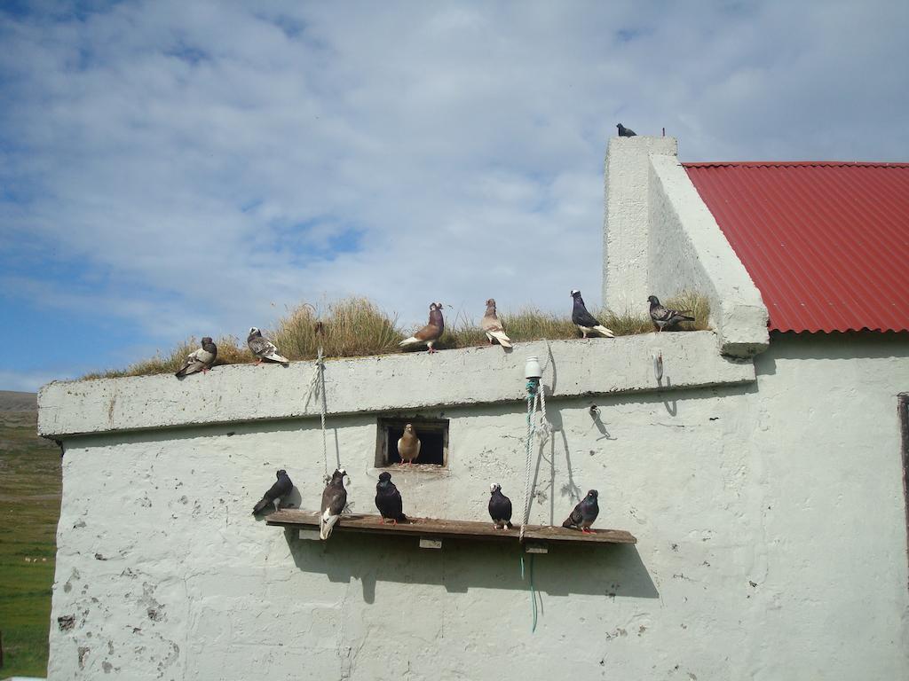 Haenuvik Cottages Hnjotur Eksteriør bilde